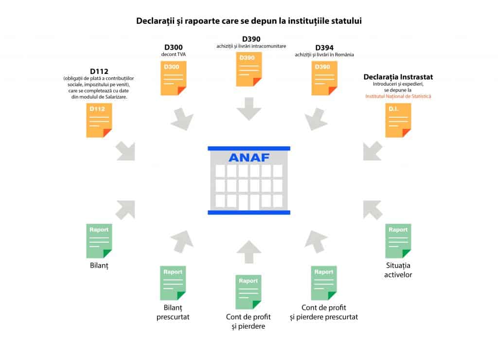 Program de contabilitate - declaratii