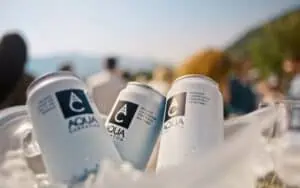 Valvis Aqua Carpatica -