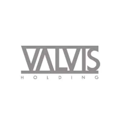 Valvis Holding Distribution