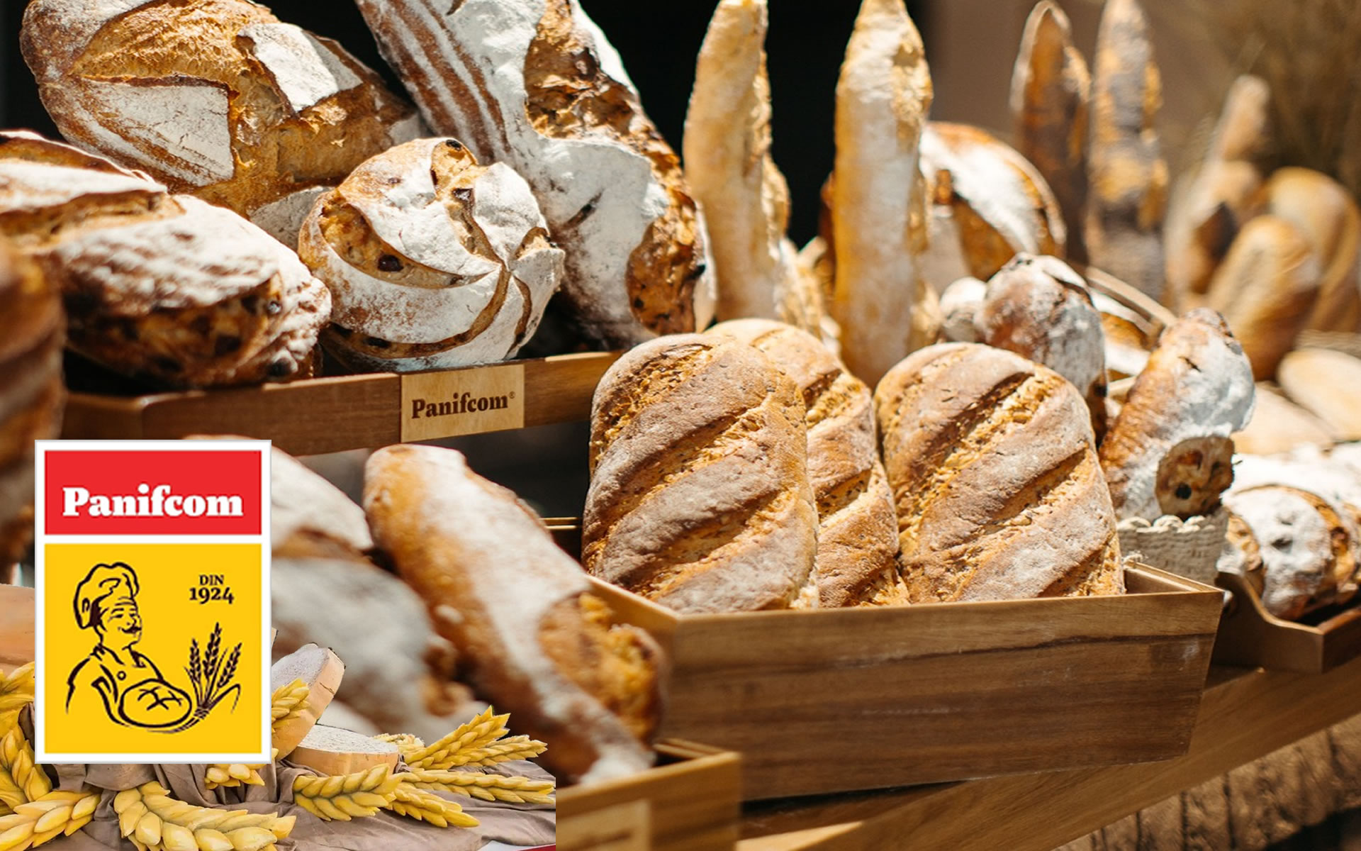 Agropan Impex Iasi - Panifcom alege IRIS AI Shelf Recognition pentru echipa de merchandiseri