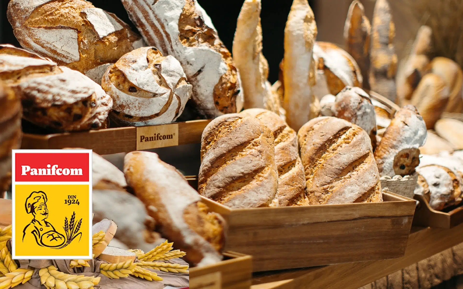 Agropan Impex Iasi - Panifcom alege IRIS AI Shelf Recognition pentru echipa de merchandiseri