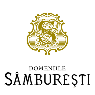 Advanced business software solutions for long-term success with Transart.