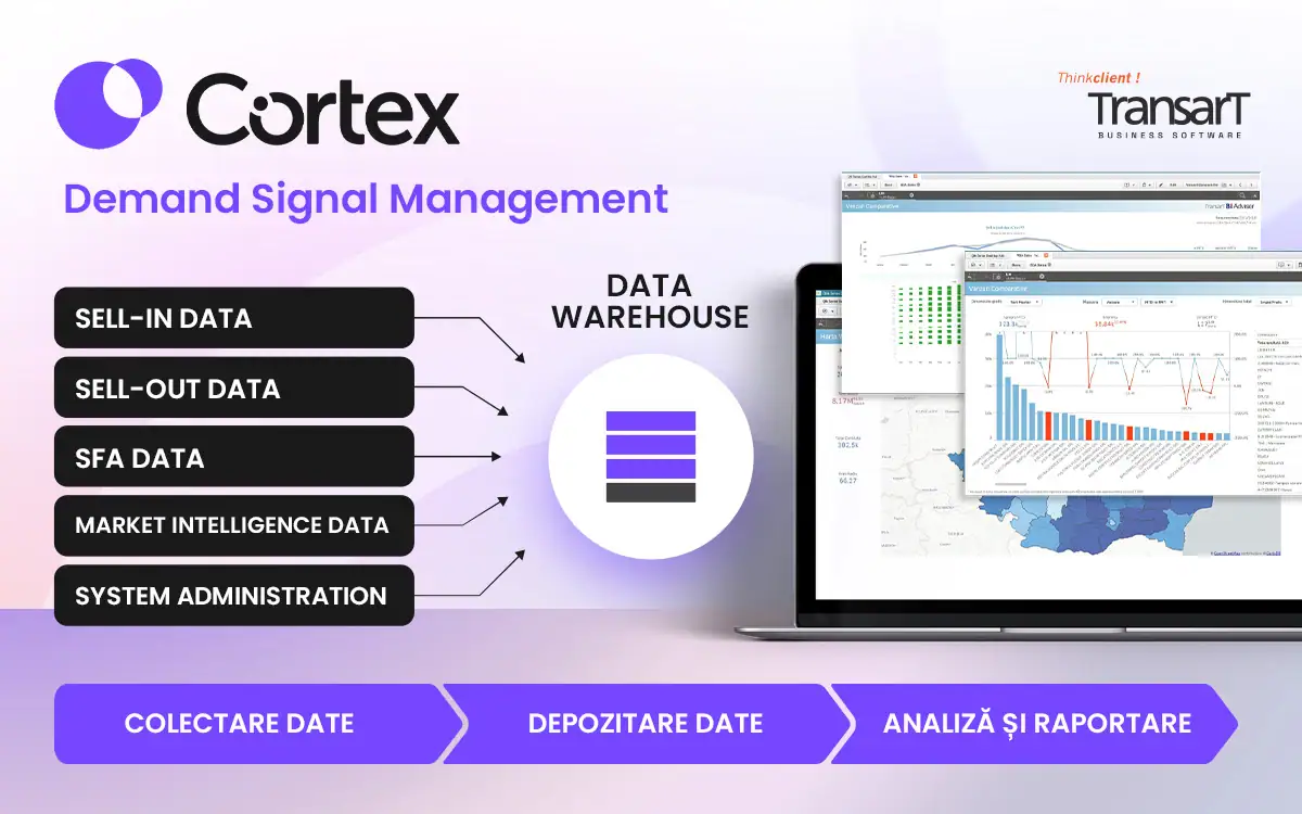 Rapoarte Sell-Out Cortex DSiM